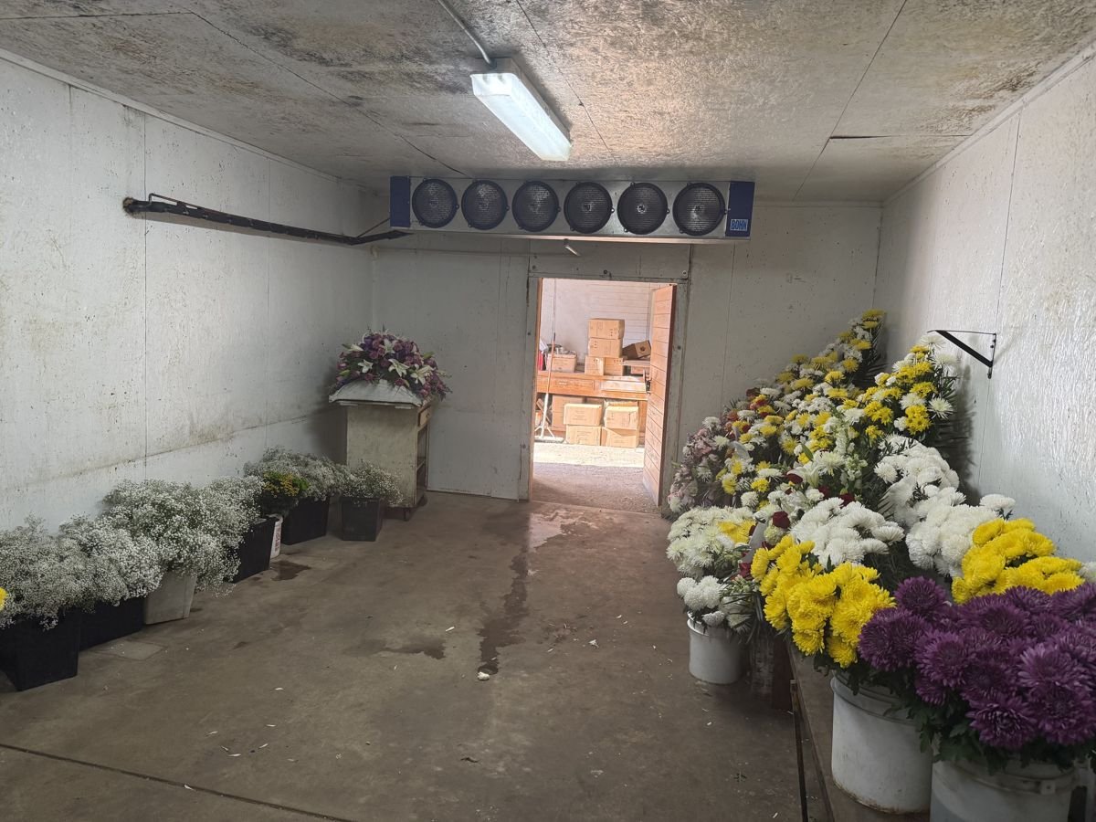Walk-in floral cooler with evaporator units holding fresh flowers at temperature
